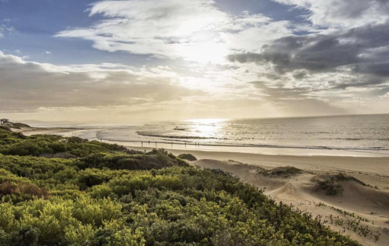 House On The Hill Paradise Beach Jeffreys Bay Kültér fotó